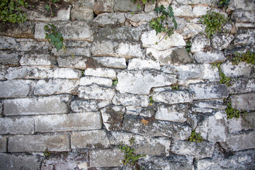 Old Brick Wall Grunge Photography Texture