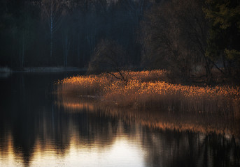 Peaceful evening landscape with a lake in early spring