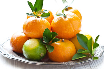 Mix of fresh citrus fruits with leaves  on light background