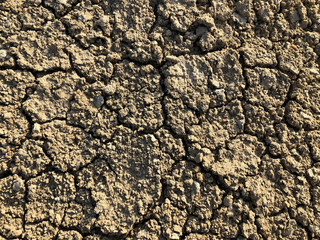 Naklejka premium Cracked dry ground mud, dried under sun road close up