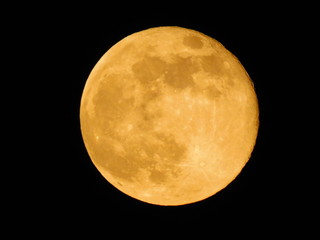 
super moon: photograph taken with a 60x digital camera