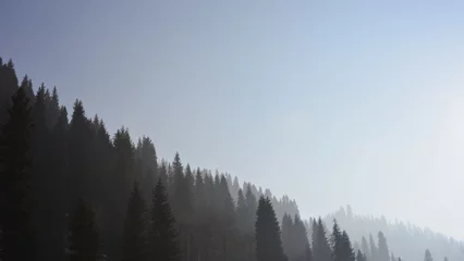Crédence de cuisine en verre imprimé Forêt dans le brouillard Silhouettes de pins à flanc de montagne contre le ciel