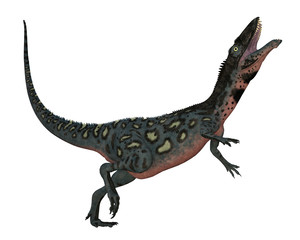 Fototapeta premium Masiakasaurus knopfleri dinosaur head up isolated in white background - 3D render