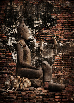 Monkeys climbing on a buddha statue in Prang Sam Yod temple, Lopburi, Thailand, Southeast Asia