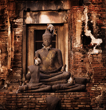Monkeys climbing on a buddha statue in Prang Sam Yod temple, Lopburi, Thailand, Southeast Asia