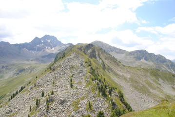 Fototapeta premium Berg in den Alpen