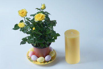 Easter collection on white background.