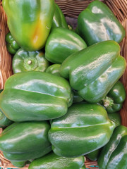 Orange, green and yellow sweet mix bell peppers close up bulgarian pepper fresh, assorted colorful capsicum paprika