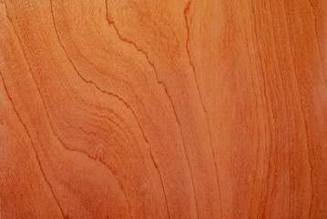 wood texture, tree texture, natural wood