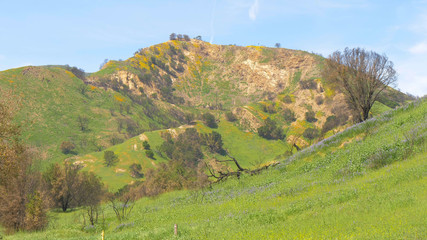 Fototapeta premium Malibu Creek State Park in California