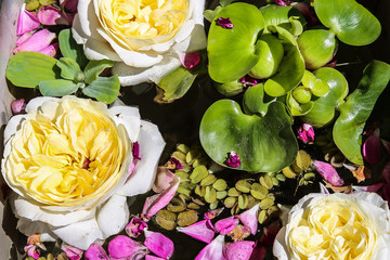 Beautiful nature flower arrangement