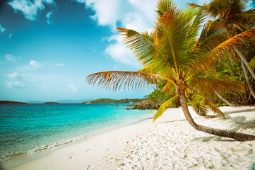 Fototapeta na wymiar Scenic palm-fringed view of empty Caribbean beach in the Virgin Islands