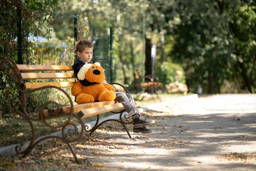 A pensive stylish boy sits on a park bench with his best friend, his favorite toy. Ginger dog - toy