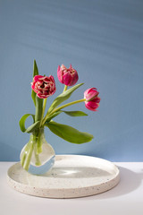 Three red terry tulips in a round vase with on a white background