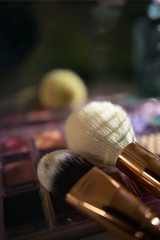 Professional makeup brushes and tools