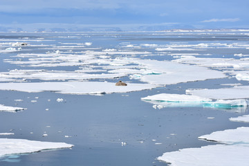 View of Svalbard Archipelago, Norway