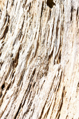 Weathered wooden texture