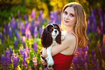 A girl in a clearing with Lupin flowers in the forest at sunset, holding a small dog Cavalier king Charles Spaniel