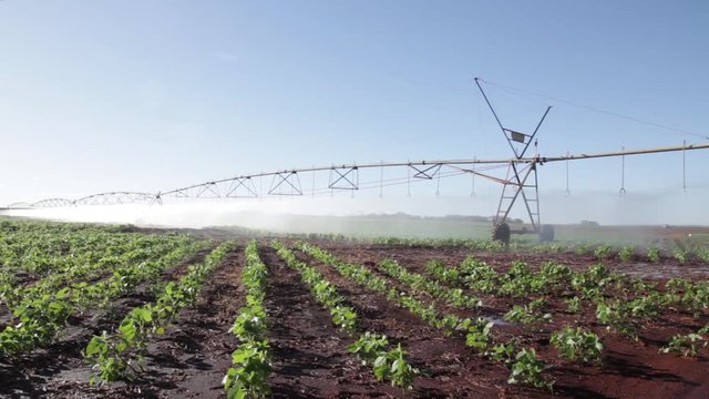 Irriga&ccedil;&atilde;o de planta&ccedil;&atilde;o no Brasil