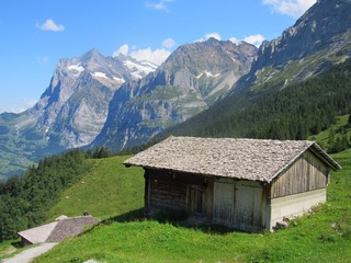 Fototapeta na wymiar Mountainside cabins rest in a quiet region of the Swiss Alps just outside Grindelwald Switzerland.