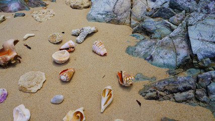 Vacation concept on a tropical beach. 