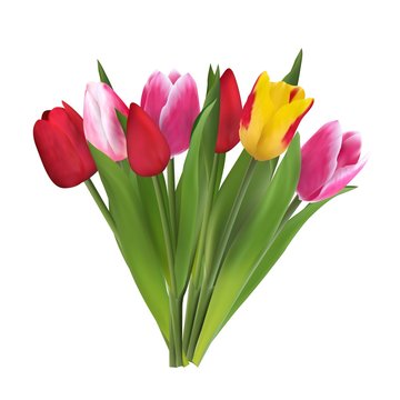 Beautiful, bright flowers tulips, a gift for a woman on a holiday. Vector template for creativity, wedding invitations, greeting cards
