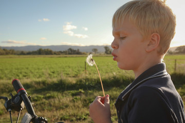 Little boy blowing dandelion to make a wish