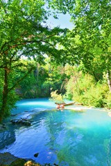 paesaggio naturale del fiume Elsa, noto come il fiume turchese, all'interno del parco fluviale a Siena in Toscana, Italia. Il colore blu dell'acqua è dovuto alle sorgenti termali che lo alimentano