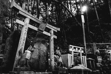 Fox (kitsune) stone statues, torii gates and rock with kanjis at sanctuary in Fushimi Inari taisha shrine, Kyoto (in black and white)