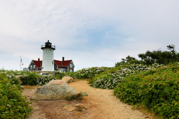 Nobska lighthouse at Cape Cod at sunset viewing from a small path. . Nobska Light,  is a lighthouse...
