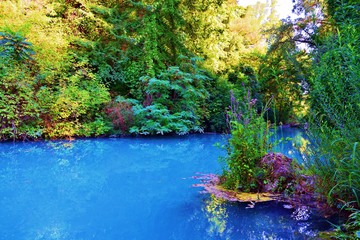 paesaggio naturale del fiume Elsa, noto come il fiume turchese, all'interno del parco fluviale a Siena in Toscana, Italia. Il colore blu dell'acqua è dovuto alle sorgenti termali che lo alimentano