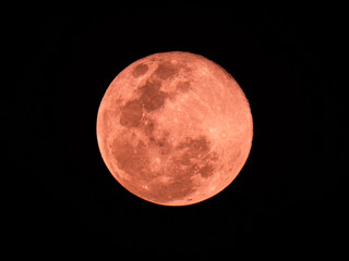 Super pink moon on 8 Apr 2020 in pink yellow color