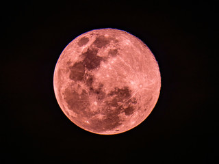 Super pink moon on 8 Apr 2020 in Rose gold color