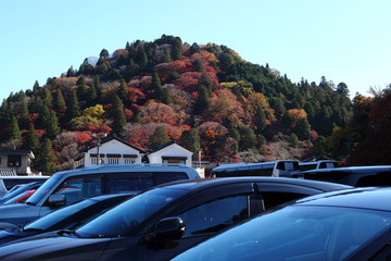 駐車場から見える山の紅葉