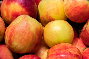 Juicy apples at a farmers market. Ripe fruits close up.