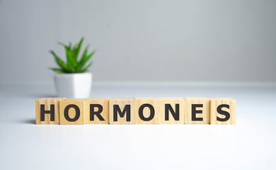 Hormones Word Written In Wooden Cube, medical concept.
