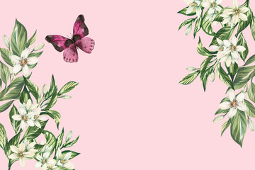 Watercolor floral watercolor illustration with leaves, blossoms and butterfly isolated on blush pink background. © britaseifert
