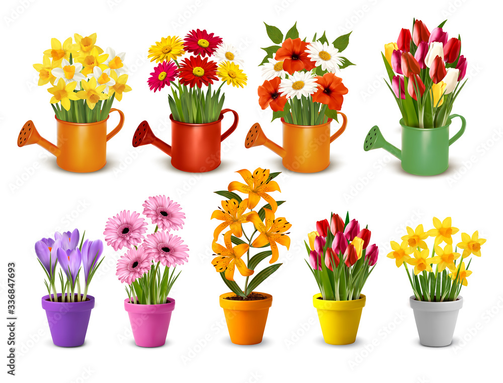Poster mega collection of spring and summer colorful flowers in pots and watering cans. vector