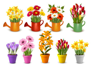 Mega collection of spring and summer colorful flowers in pots  and watering cans. Vector
