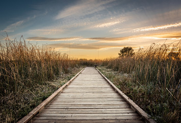 Gouden uurlandschap van een houten wandelpad omgeven door wild gras dat in de wind stroomt in de wetlands van het Cosumnes River Preserve in Galt, Californië met de ondergaande zon aan de horizon.
