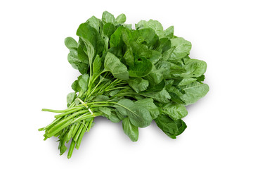 Bunch of spinach leaves on isolated white background