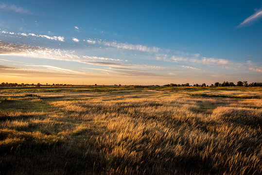 Golden hour landscape of wild grass flowing in the wind in the wetlands of the Cosumnes River Preserve in Galt California with the sun setting on the horizon.