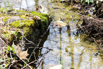 Small River