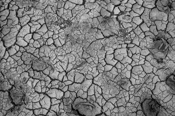 dry cracked earth