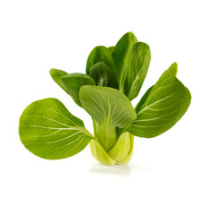 fresh pak choi cabbage isolated on white background
