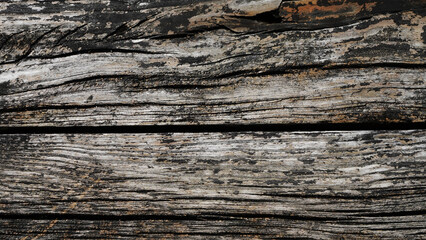 Ancient curved gray wood trunk, vintage wood background