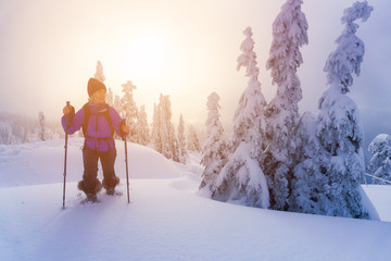 Blonde Caucasian Young Woman Snowshoeing in fresh snow during a vibrant and colorful sunset. Taken on Seymour Mountain, North Vancouver, British Columbia, Canada. Concept: Adventure, Explore, Sport