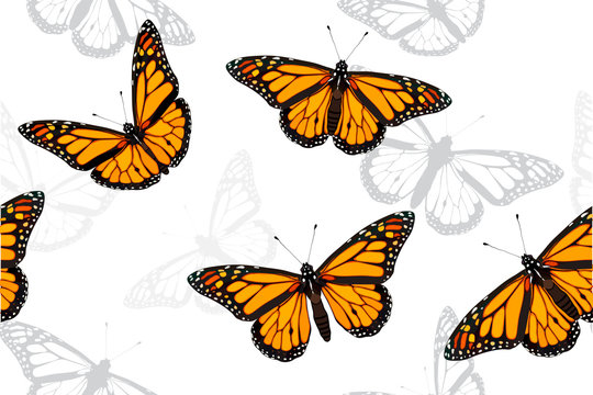 Monarch Butterfly Set Seamless Vector Pattern Illustration