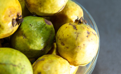Fresh guava fruits (Psidium guajava L.) in glass bowl and light background