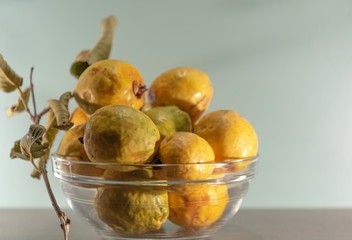 Fresh guava fruits (Psidium guajava L.) in glass bowl and light background